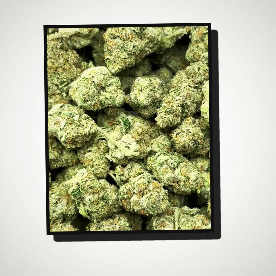 Blue Meteorite THCA flower straight from the bag, greenhouse