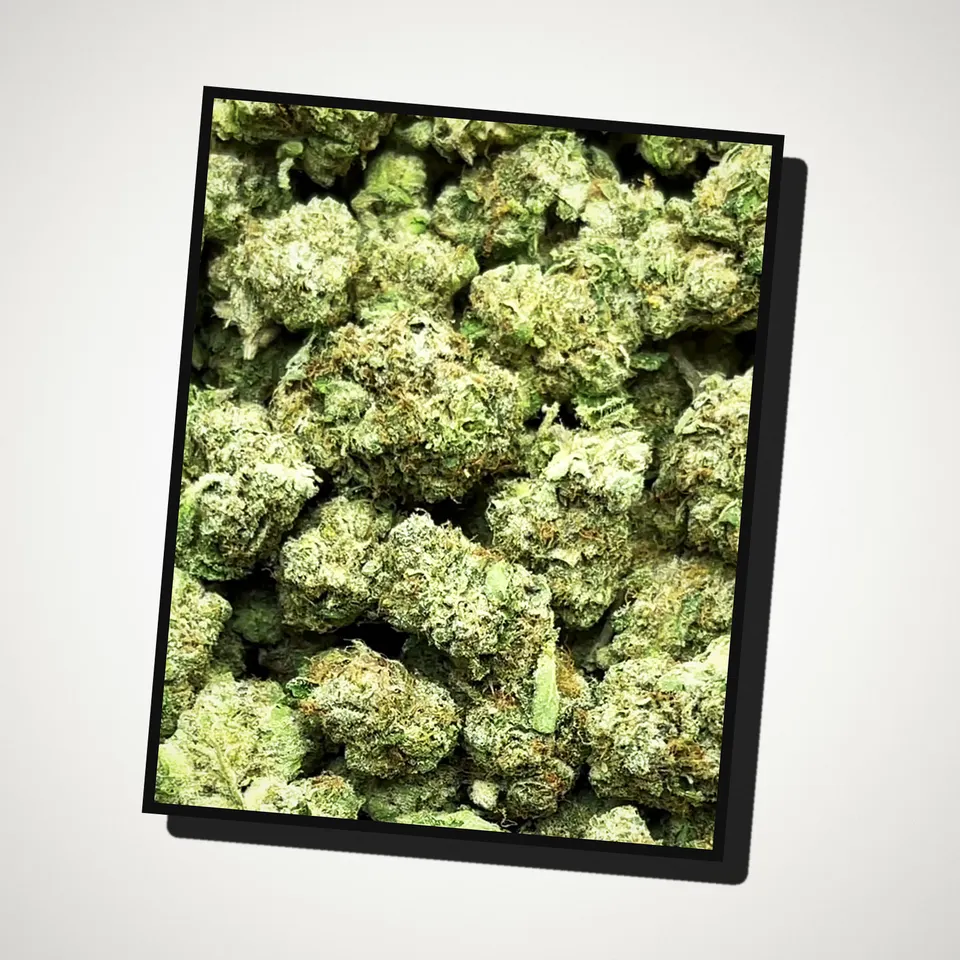 Caked Up Candy THCA flower straight from the bag, greenhouse