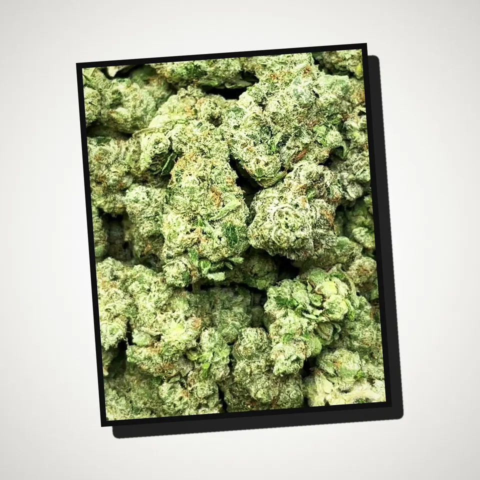 Donny Burger #5 THCA flower straight from the bag, greenhouse