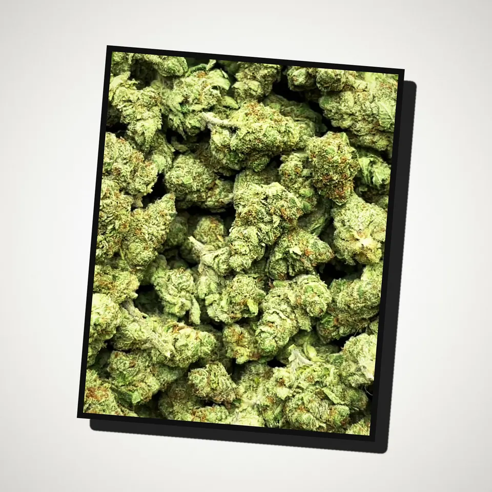 Gelonade THCA flower straight from the bag, greenhouse