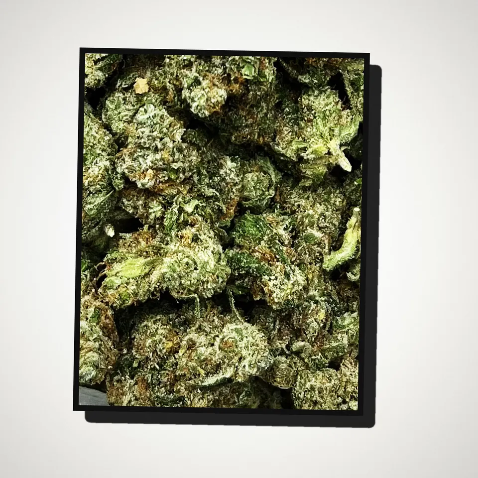 Glue Dawg THCA flower straight from the bag, greenhouse