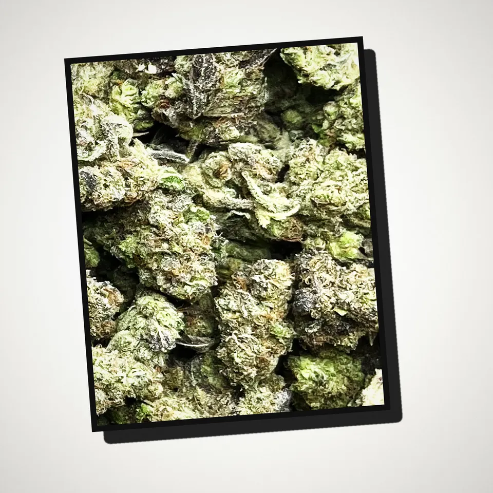 GMO THCA flower straight from the bag, light-dep