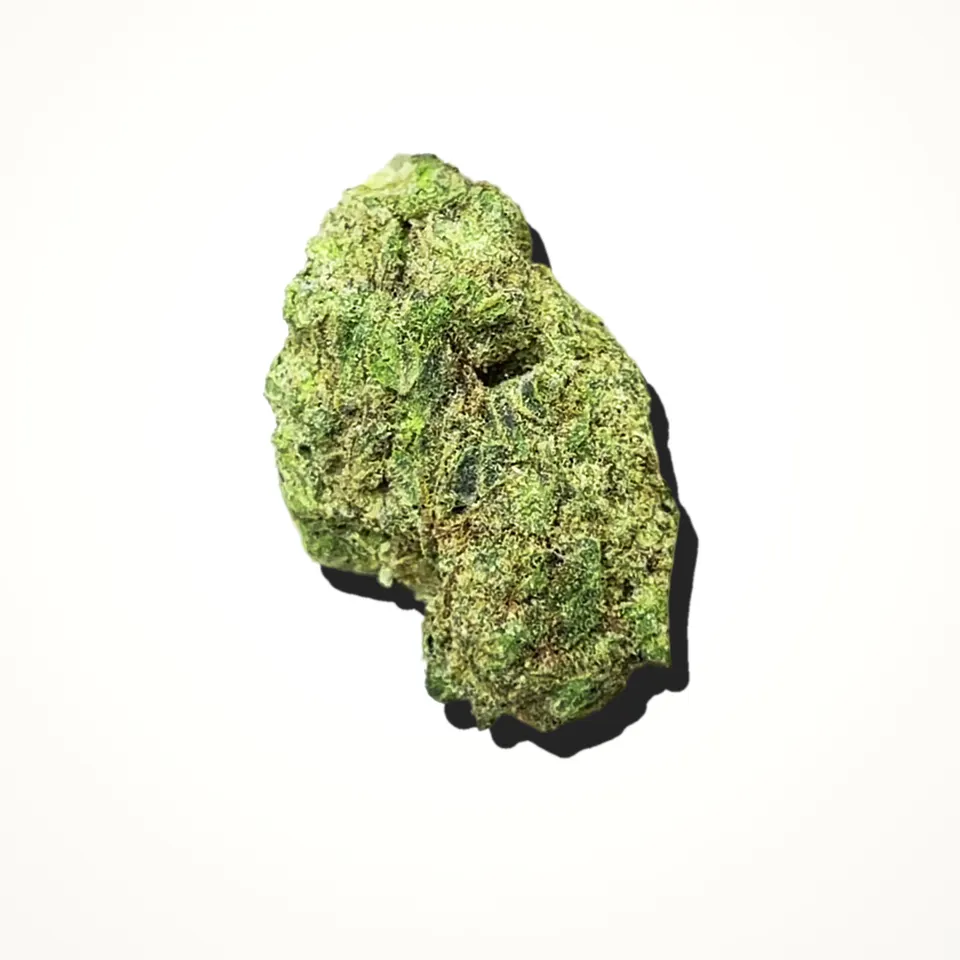 Grease Monkey THCA flower under the flash, greenhouse