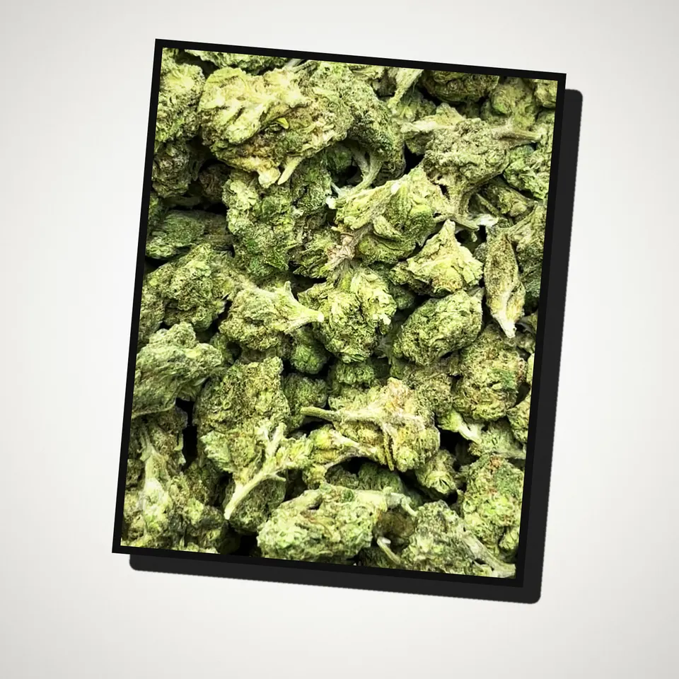 Grease Monkey THCA flower straight from the bag, greenhouse
