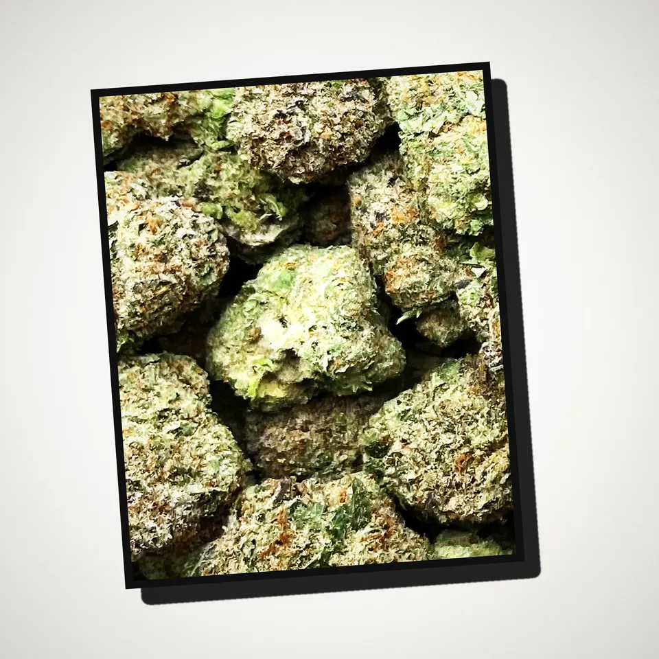 Illemonati THCA flower straight from the bag, light-dep