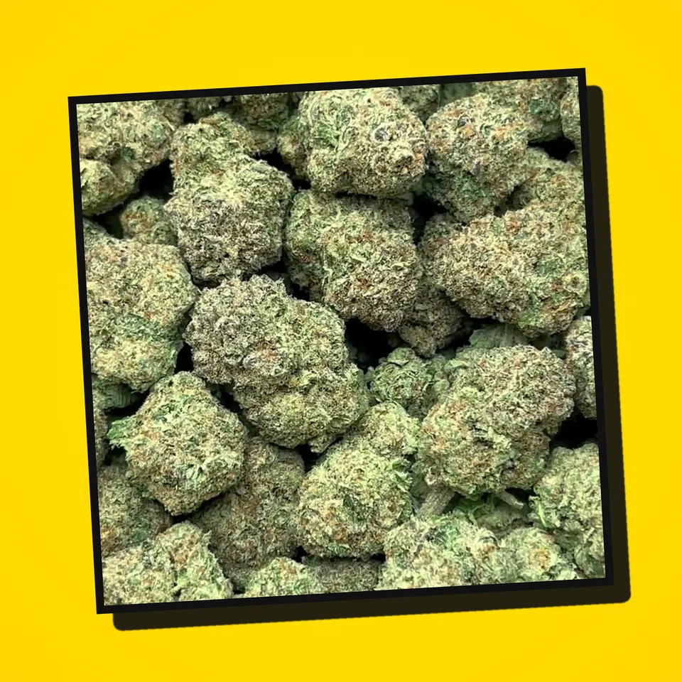 Illemonati THCA flower under the flash, light-dep