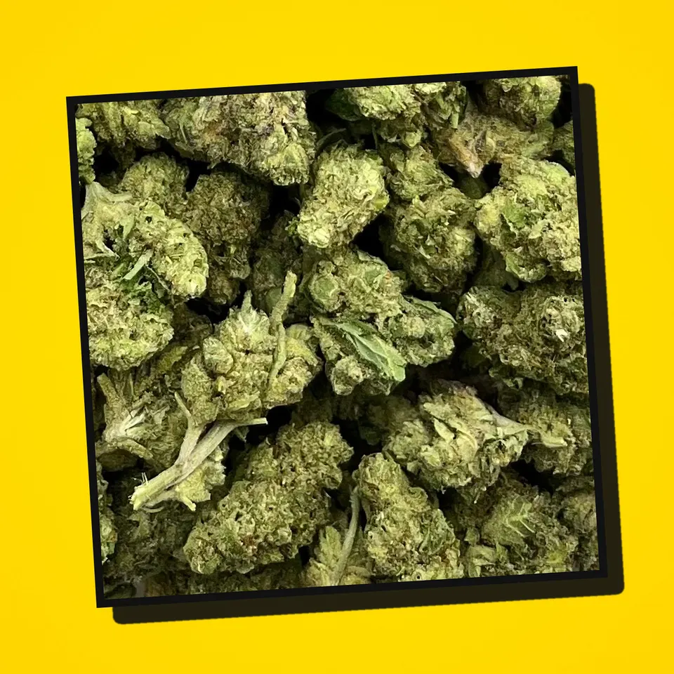 Jelly Roll THCA flower under the flash, smalls