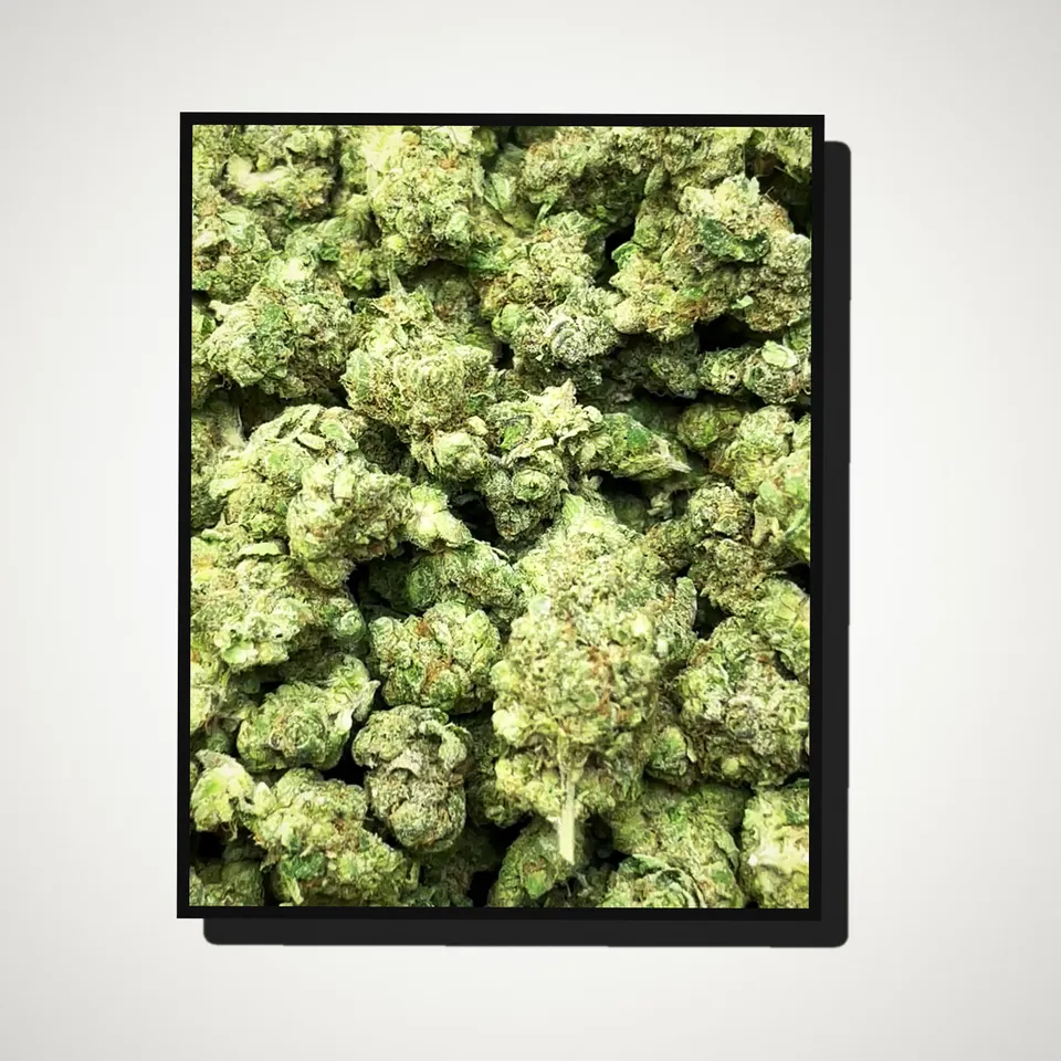 Kandy Kush THCA flower straight from the bag, greenhouse