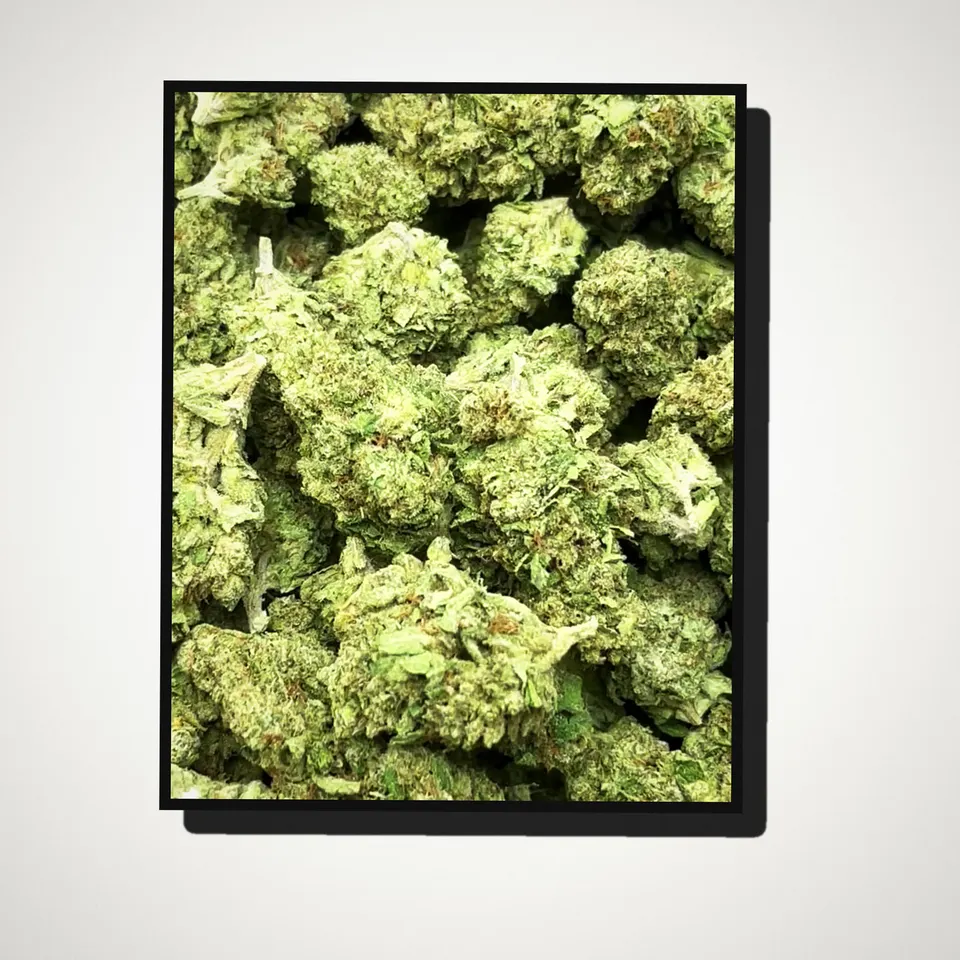 Lemon Kush THCA flower straight from the bag, indoor