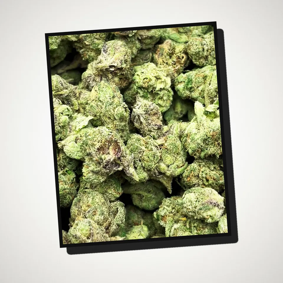 LFG THCA flower straight from the bag, greenhouse