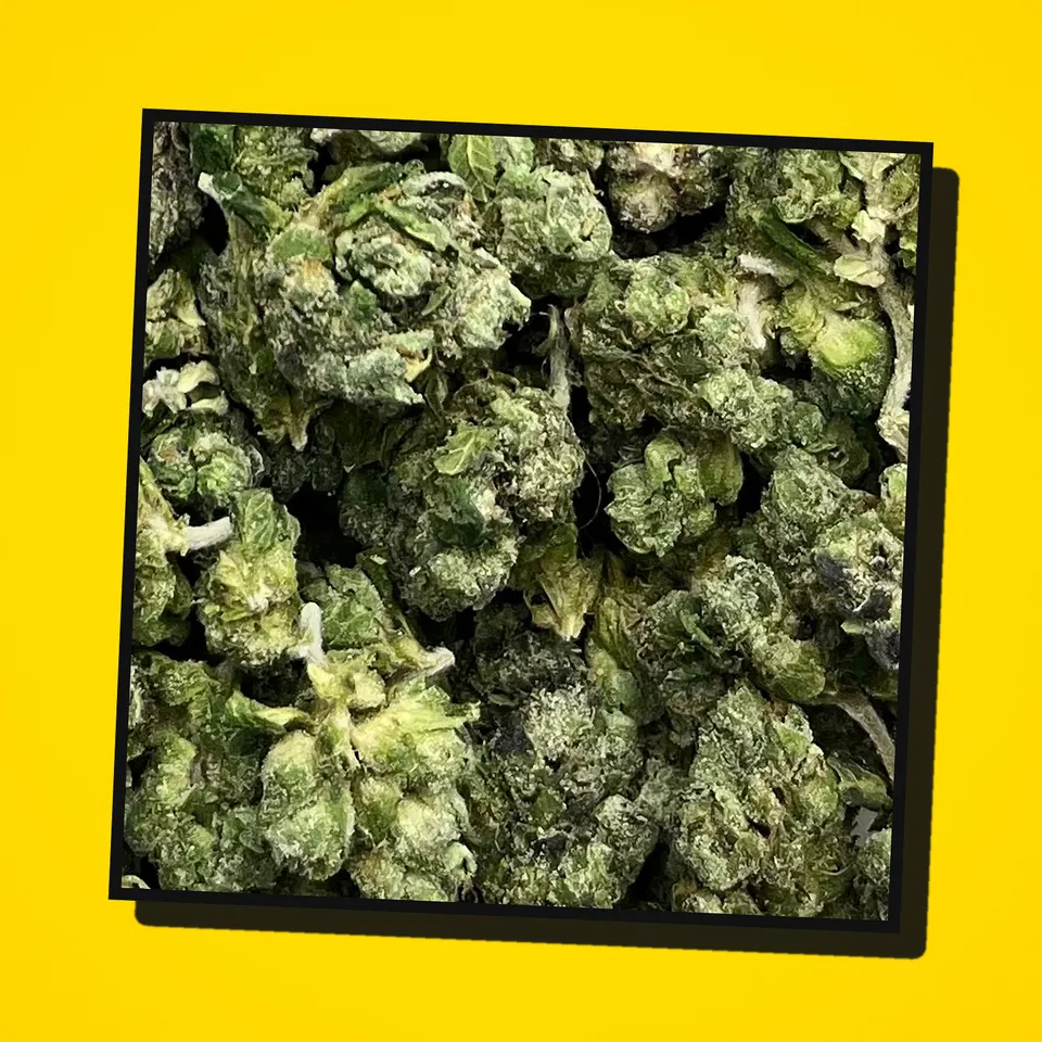 MOB THCA flower under the flash, smalls