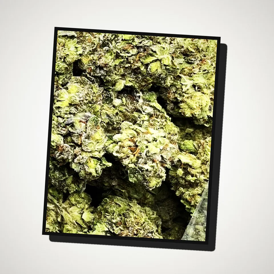 Modified Sunset THCA flower straight from the bag, light-dep