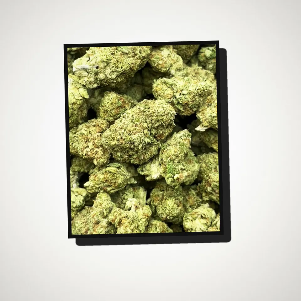 Papaya Punch THCA flower straight from the bag, greenhouse