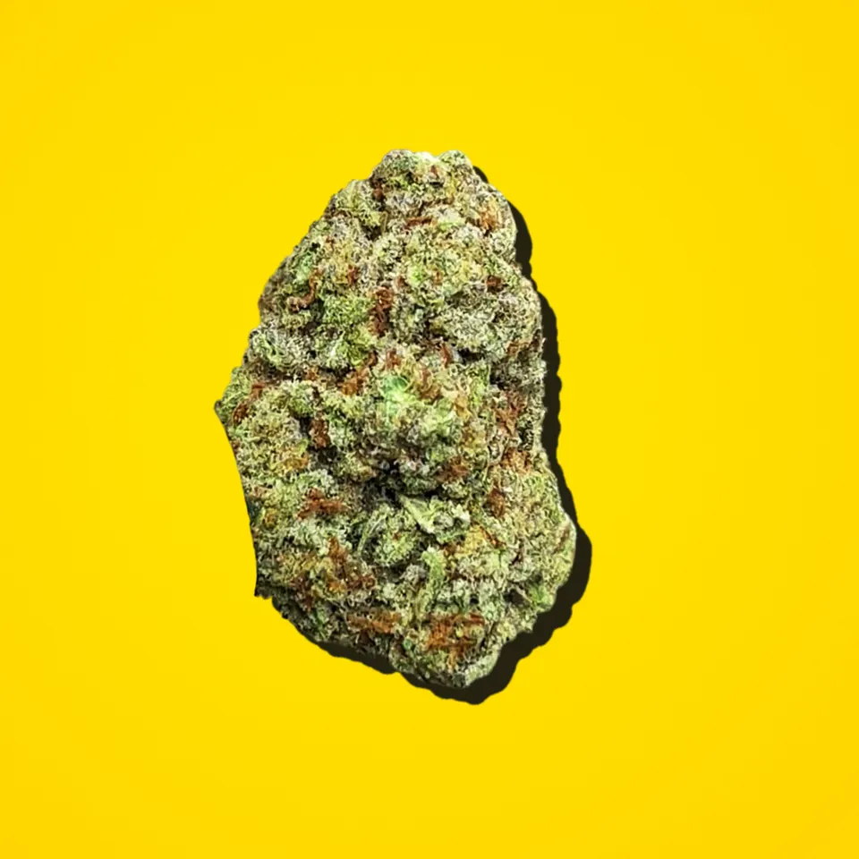 Punch Breath THCA flower under the flash, greenhouse