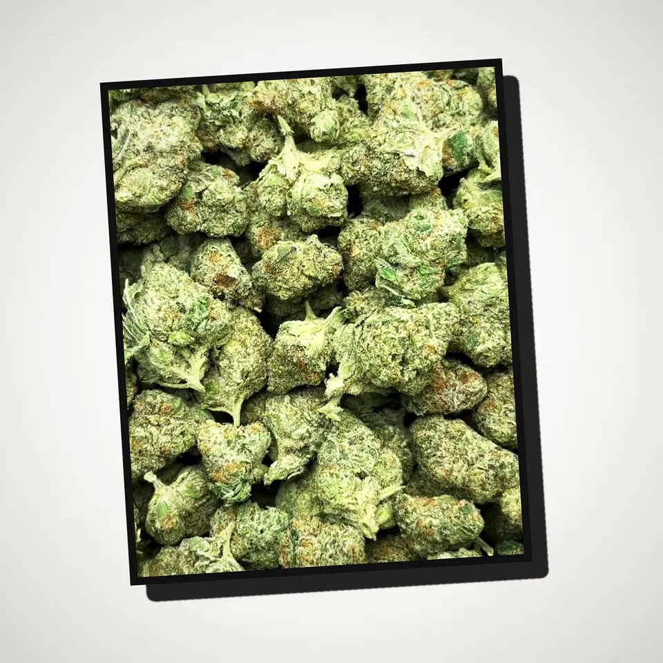 Rocket Pops THCA flower straight from the bag, greenhouse