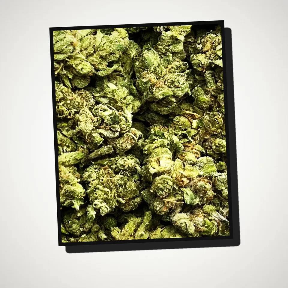 Sour D Mix THCA flower straight from the bag, indoor