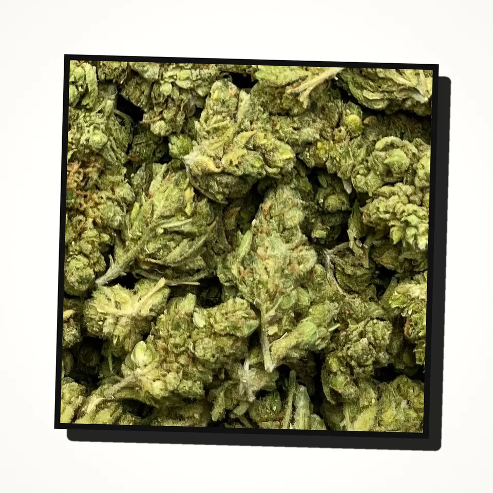 Sour D Mix THCA flower under the flash, indoor
