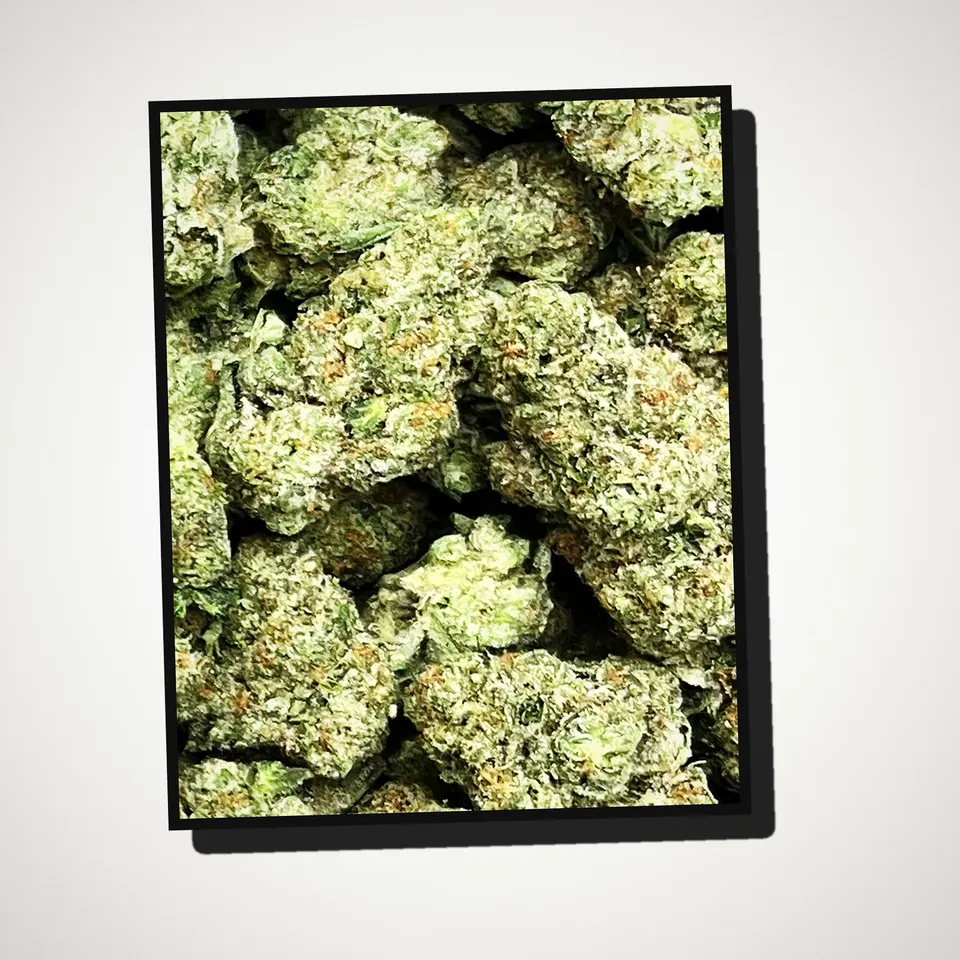 Space Rocks THCA flower straight from the bag, greenhouse