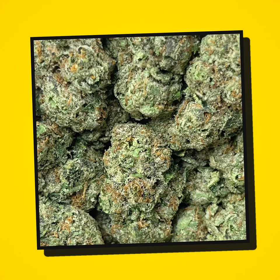 Space Rocks THCA flower under the flash, greenhouse