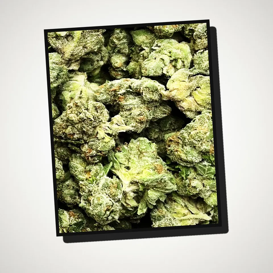 Sugar Tarts THCA flower straight from the bag, greenhouse