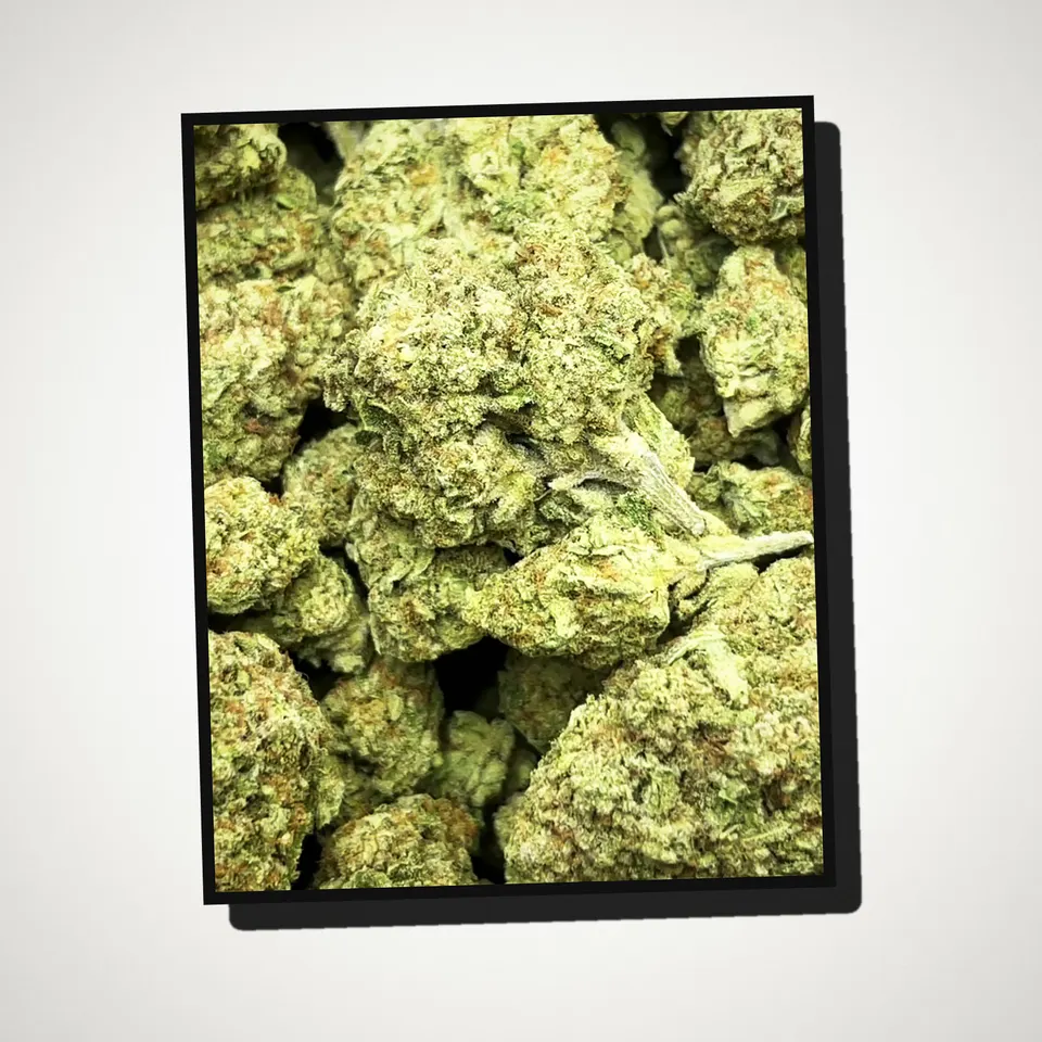 Tropicana THCA flower straight from the bag, greenhouse